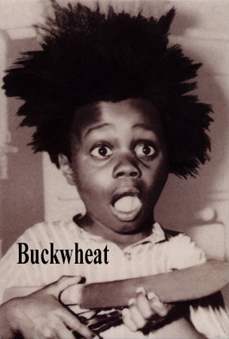 buckwheat-magnet-c117504301.jpg